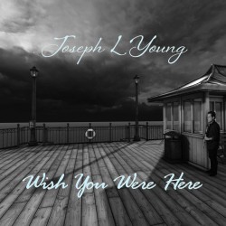 JOSEPH L YOUNG - WISH YOU WERE HERE